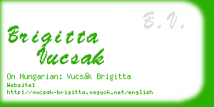 brigitta vucsak business card